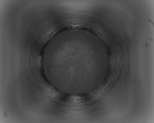 X0000093160650200709261510