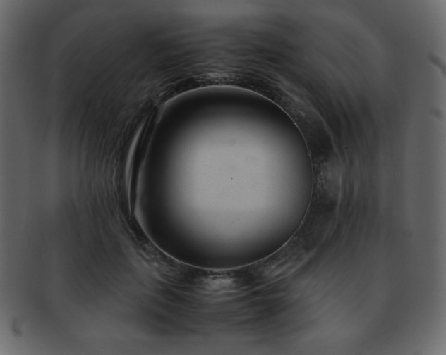 X0000093160651200709261510