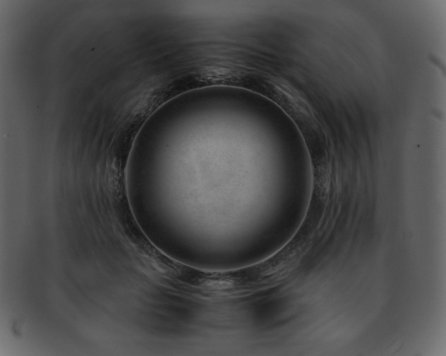 X0000093160653200709261510