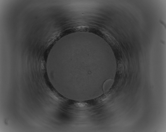 X0000093160654200709261510