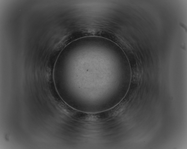 X0000093160656200709261510