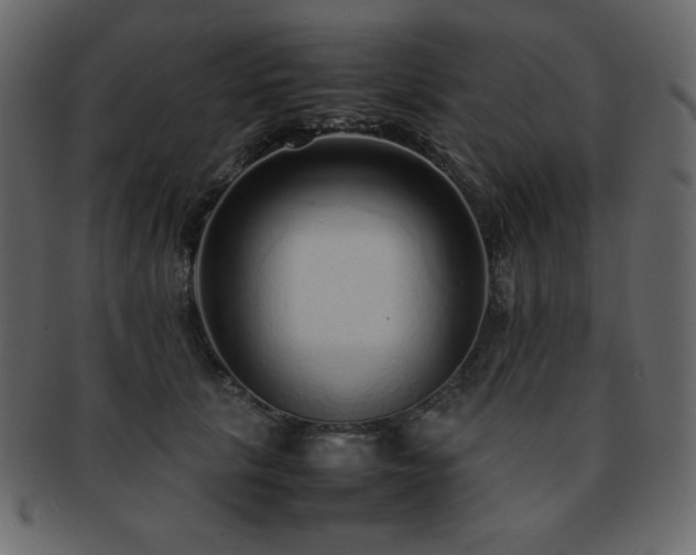 X0000093160657200709261510