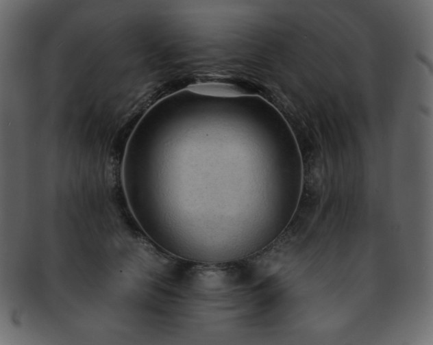 X0000093160658200709261510