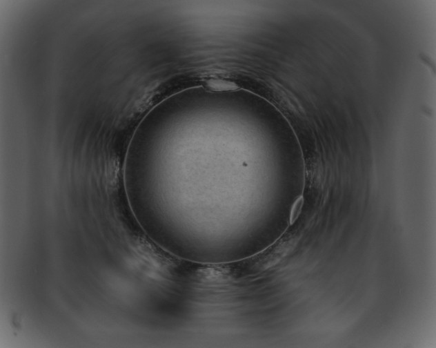X0000093160660200709261510