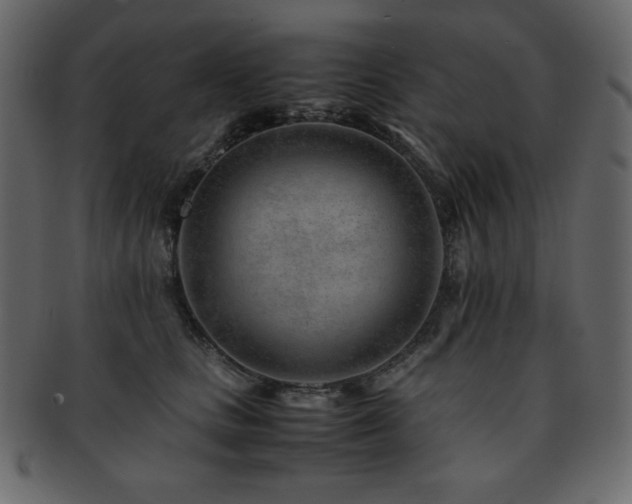 X0000093160661200709261510