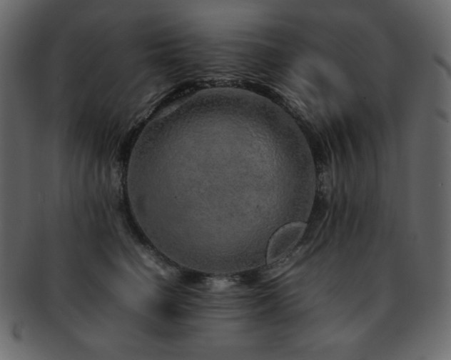 X0000093160662200709261510