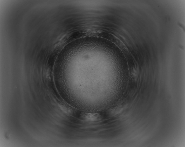 X0000093160663200709261510