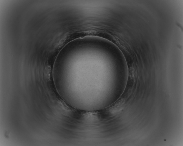 X0000093160664200709261510