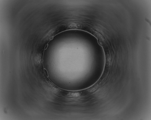 X0000093160665200709261510
