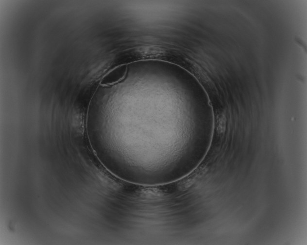 X0000093160666200709261510