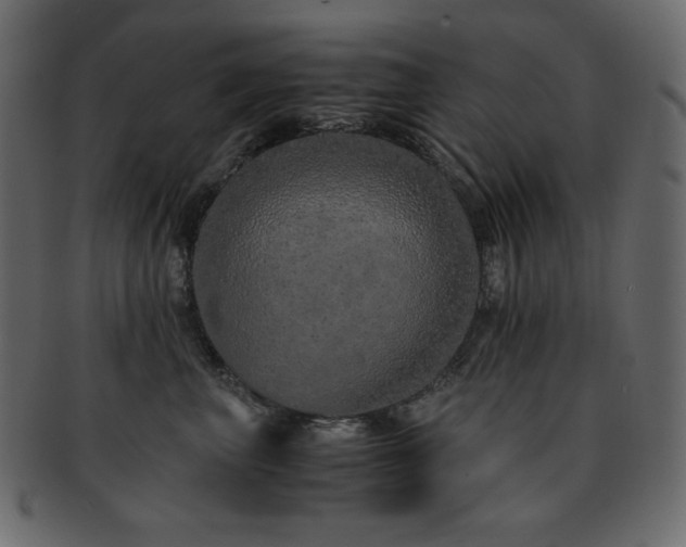 X0000093160667200709261510