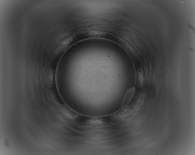 X0000093160668200709261510