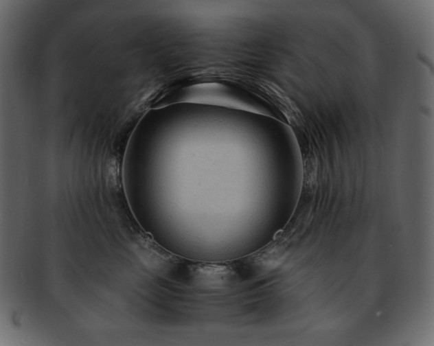 X0000093160669200709261510