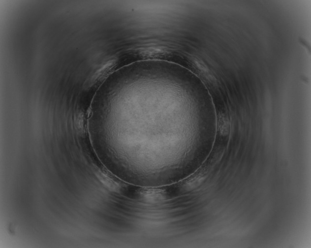 X0000093160670200709261510
