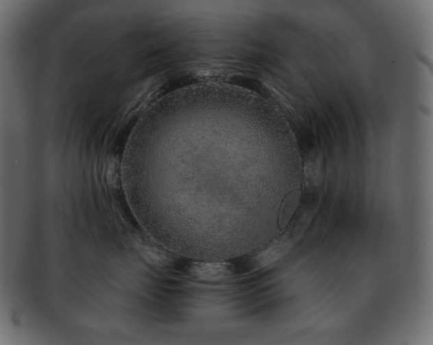 X0000093160671200709261510