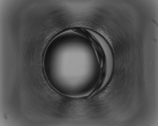 X0000093160673200709261510