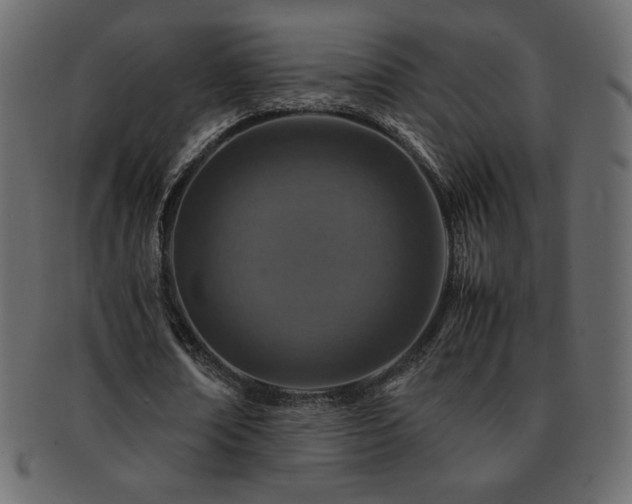 X0000093160674200709261509