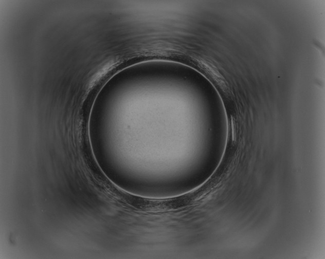 X0000093160675200709261509