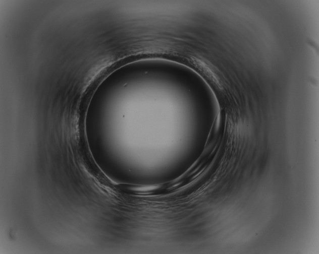 X0000093160676200709261509