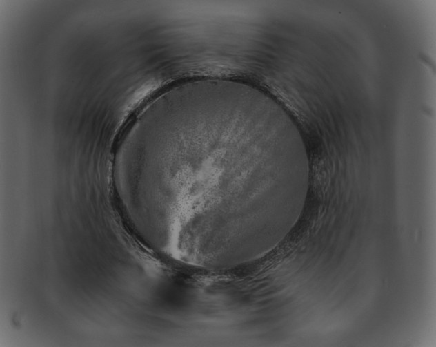 X0000093160679200709261509