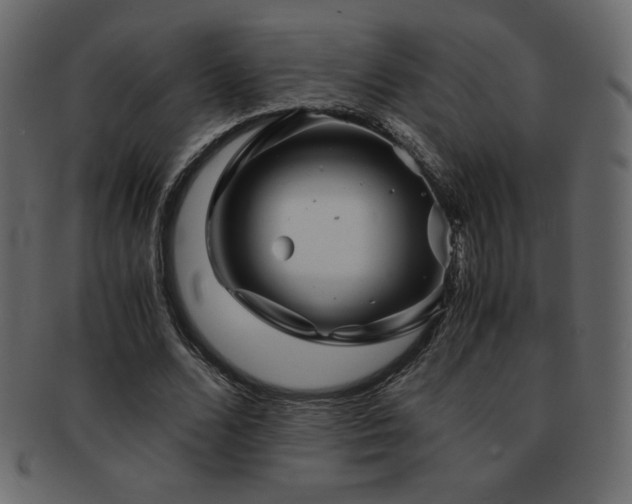 X0000093160680200709261509