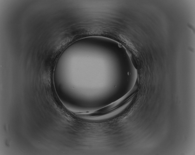 X0000093160681200709261509