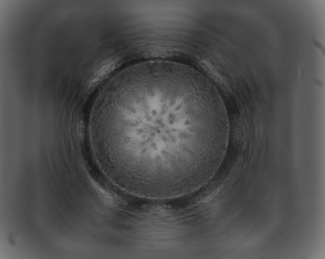 X0000093160683200709261509