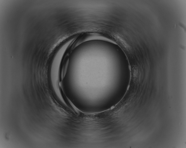 X0000093160684200709261509