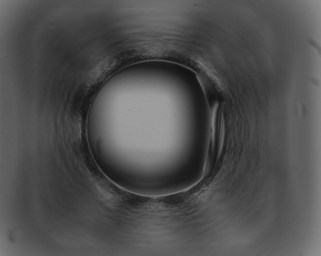 X0000093160685200709261509