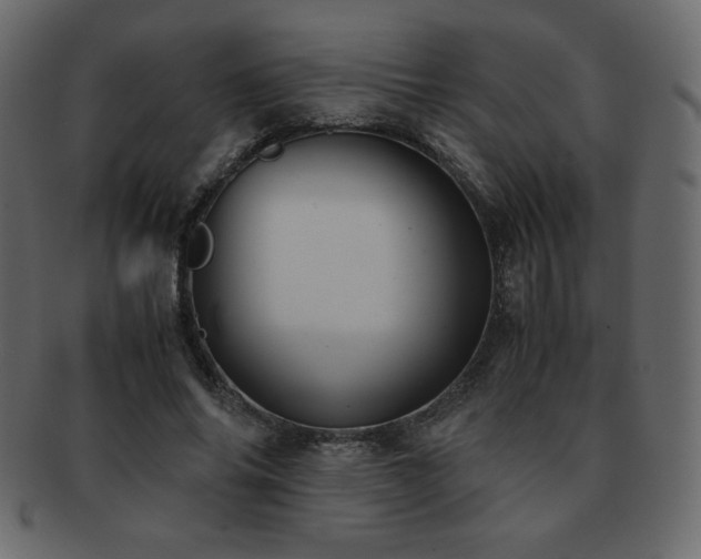 X0000093160686200709261509
