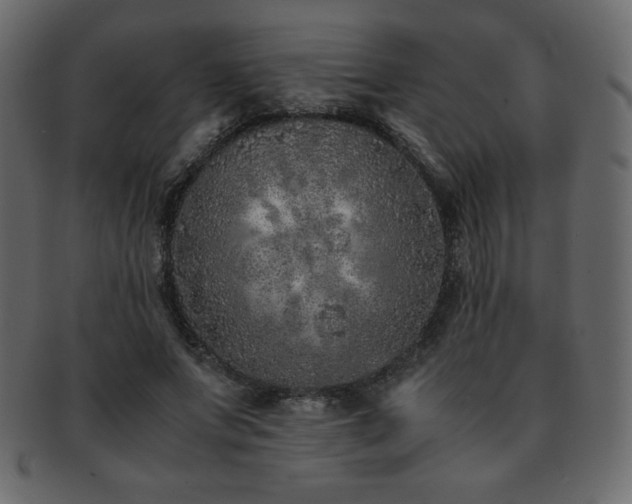 X0000093160687200709261509