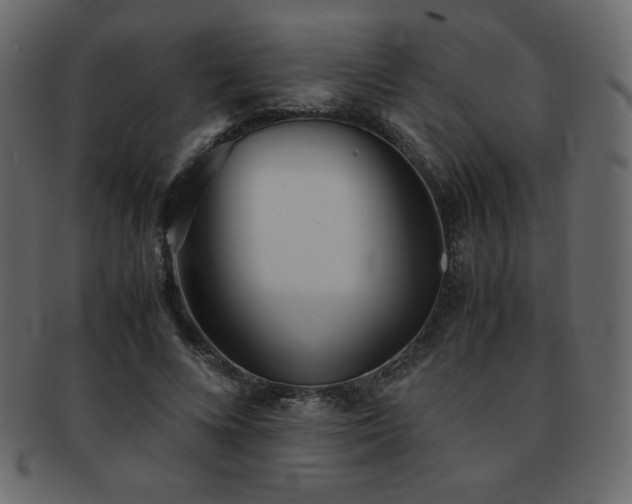 X0000093160688200709261509