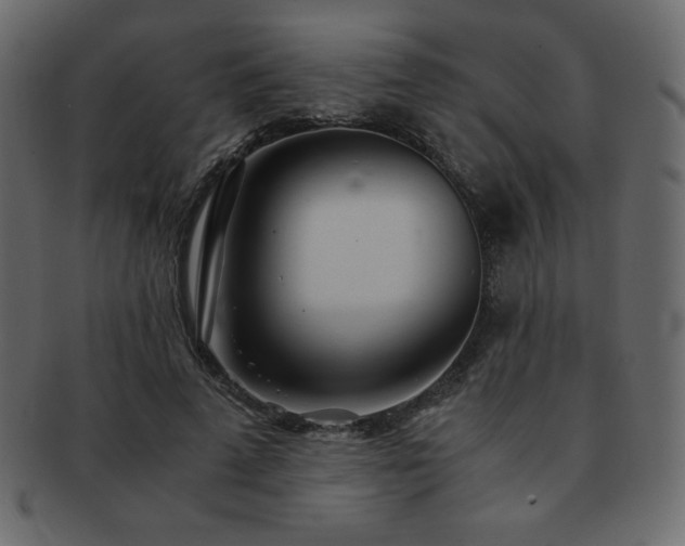 X0000093160689200709261509