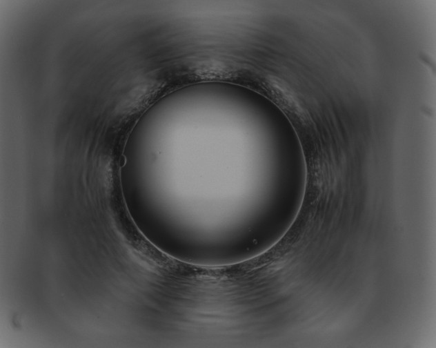 X0000093160690200709261509