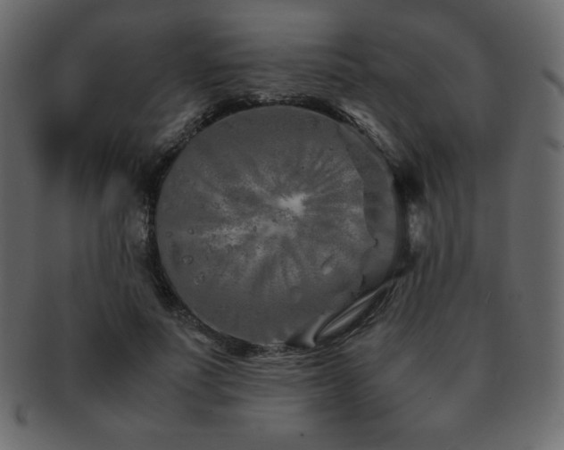 X0000093160691200709261509