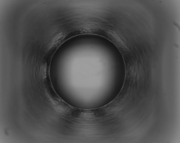 X0000093160694200709261509