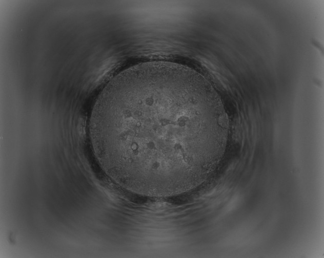 X0000093160695200709261509