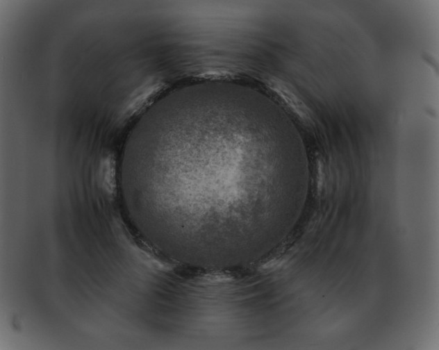 X0000093160696200709261509