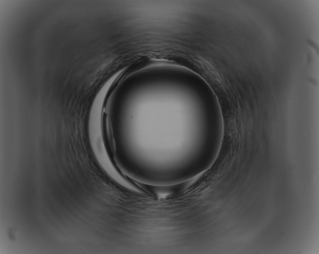 X0000093160697200709261509