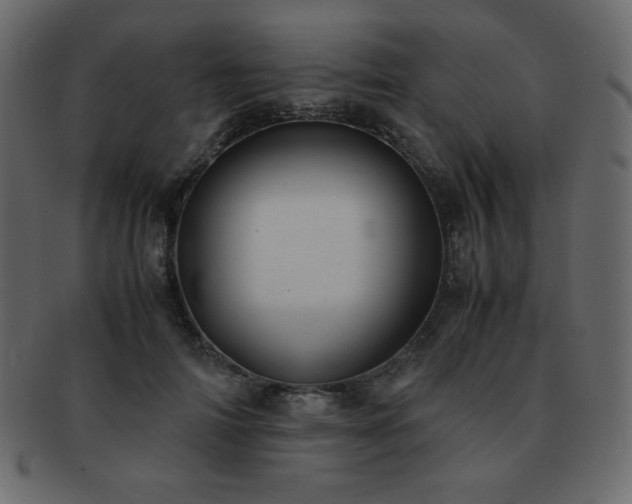 X0000093160698200709261509