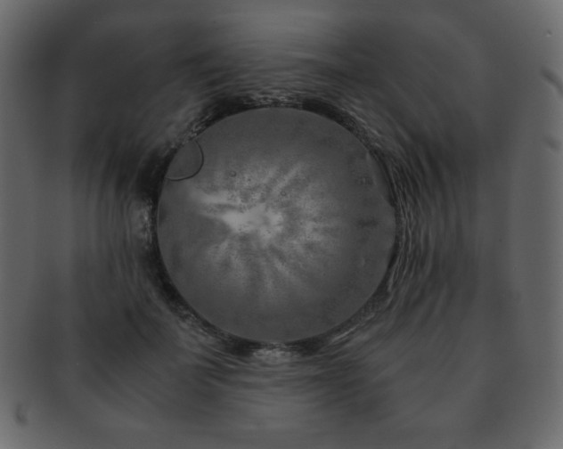 X0000093160699200709261509