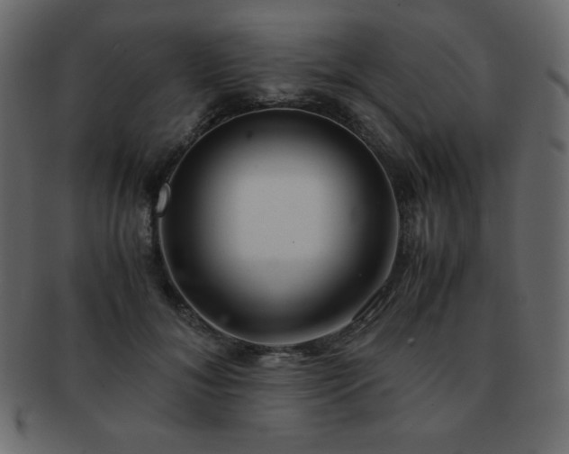 X0000093160700200709261509