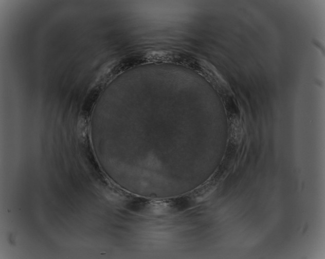 X0000093160701200709261509