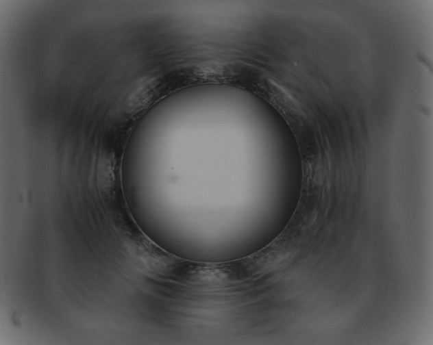 X0000093160702200709261509