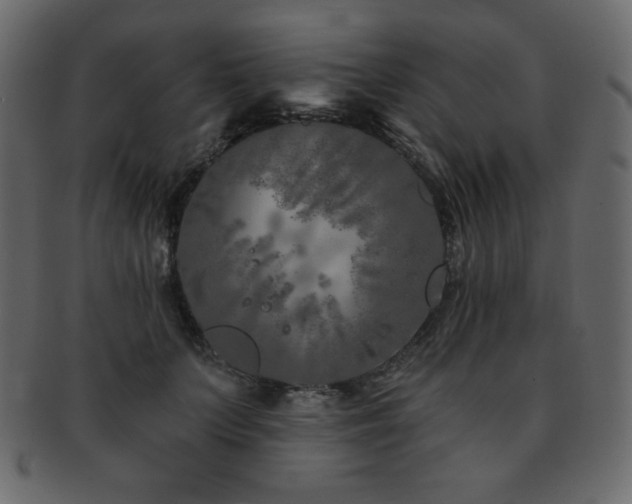 X0000093160703200709261509
