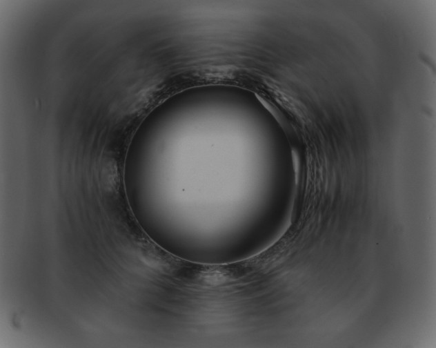 X0000093160704200709261509