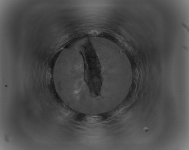 X0000093160707200709261509