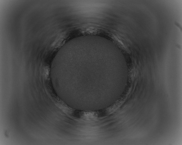 X0000093160709200709261509