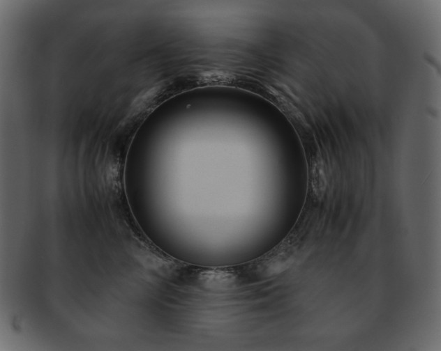 X0000093160714200709261509
