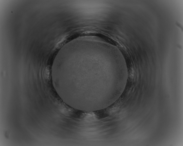 X0000093160715200709261509